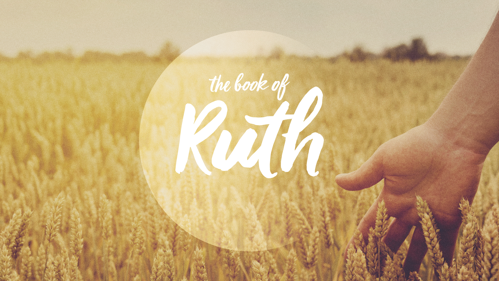 Ruth 3:1-13
