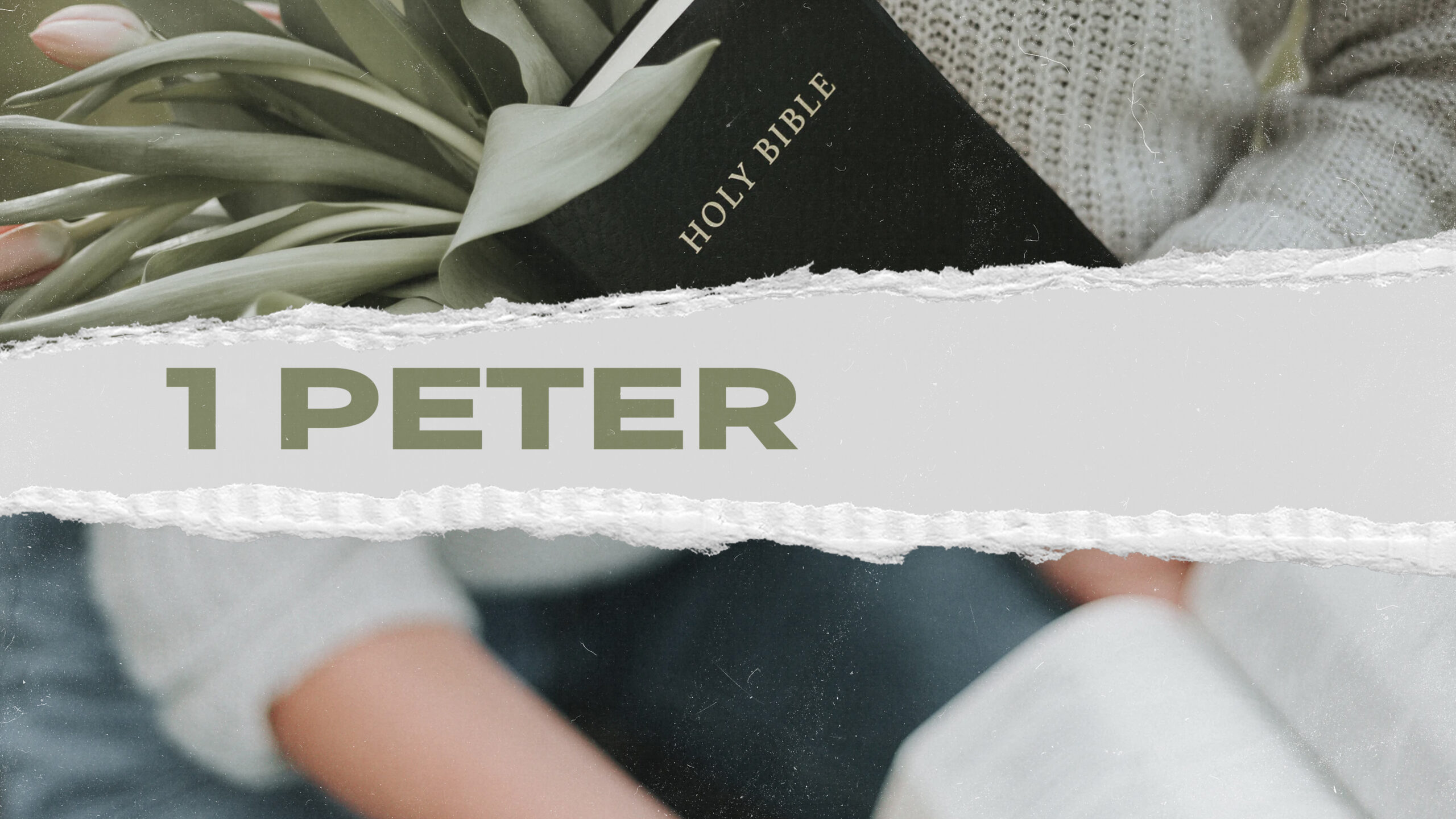 1 Peter 2:18-25