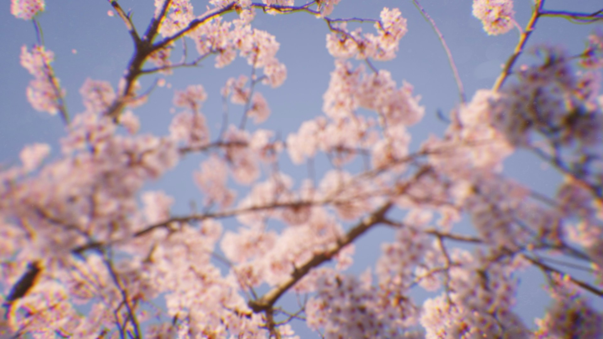 Women’s Spring Fling